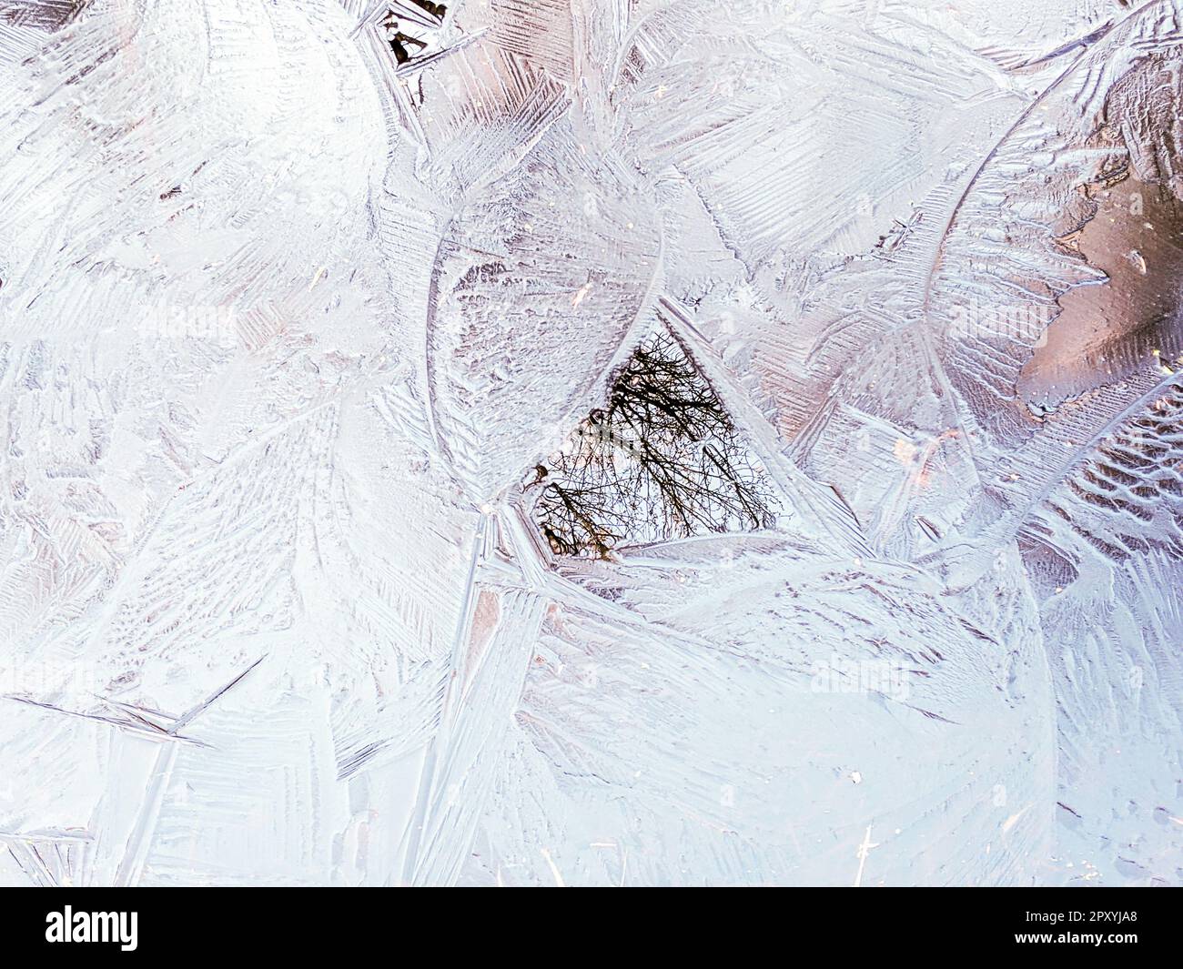 Ice crystals frozen on the ground Stock Photo Alamy
