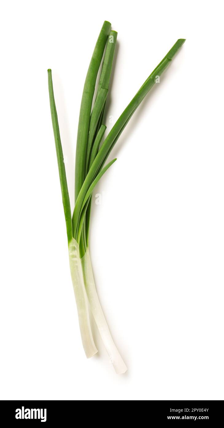 Fresh green onion isolated on white background Stock Photo - Alamy