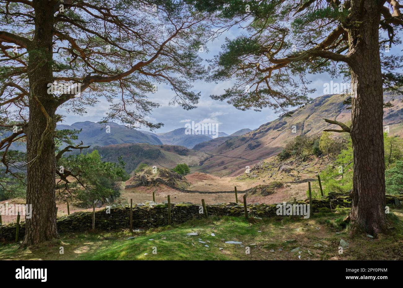 Looking towards Base Brown and Great Gable from the lower slopes of Castle Crag, near Grange, Borrowdale, Lake District, Cumbria Stock Photo