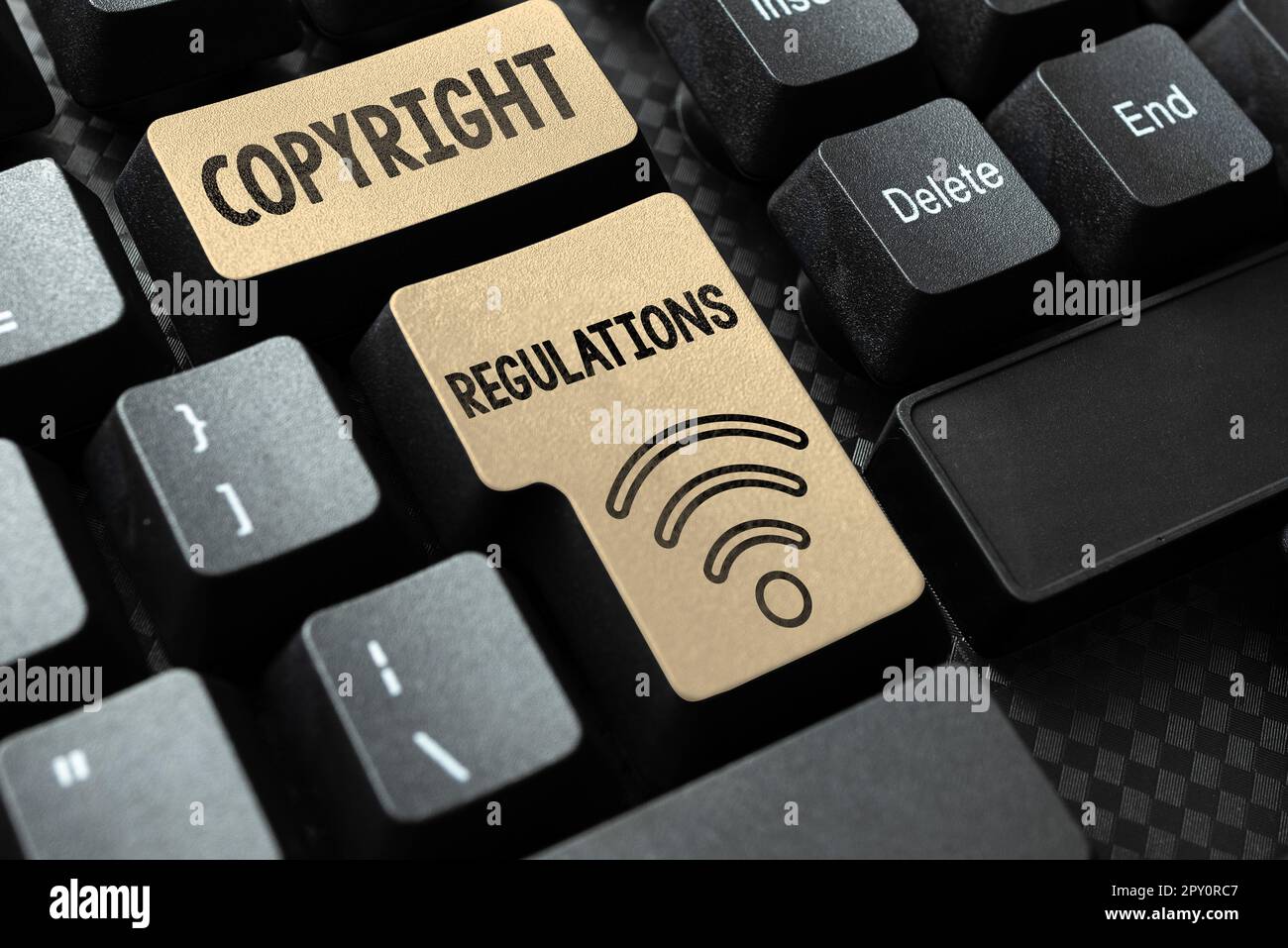 Text caption presenting Copyright Regulations, Internet Concept body of ...