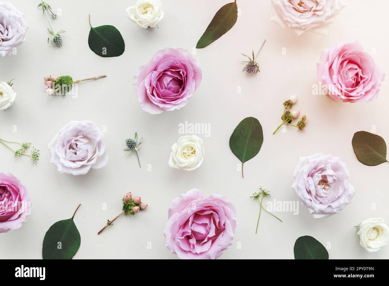 Beautiful colorful flowers background design Stock Photo - Alamy