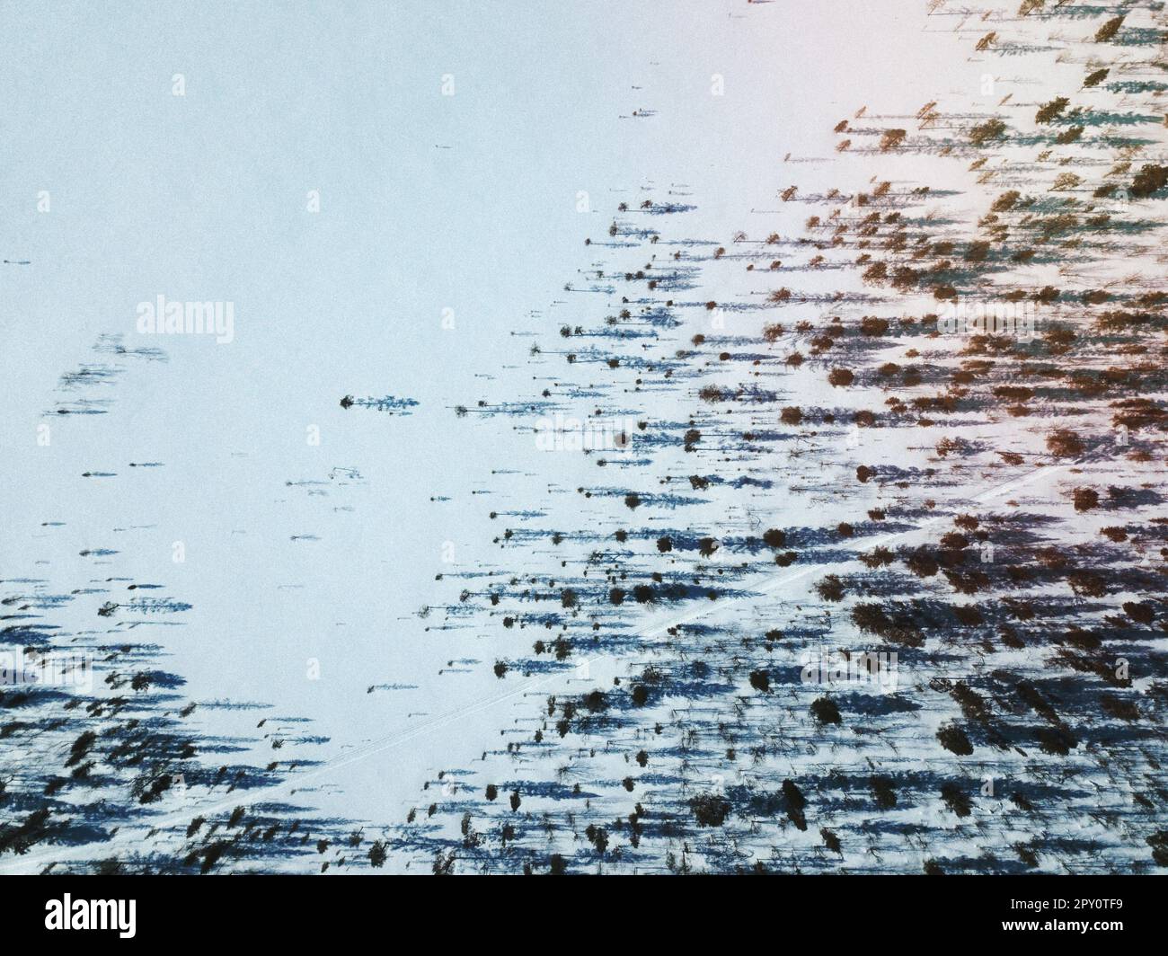 Aerial view of a snowy forest Stock Photo - Alamy