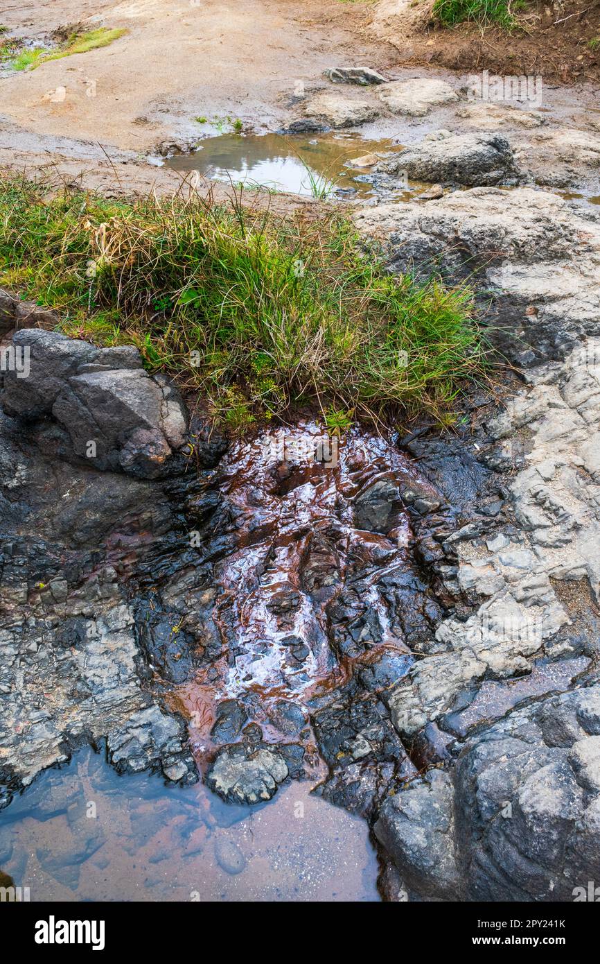 Tide pools and beach along Oregon Coast, Yachats OR Stock Photo Alamy