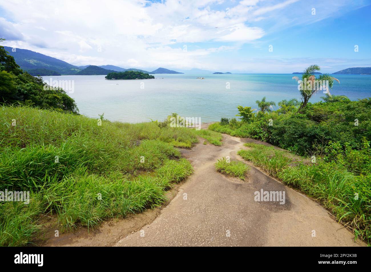 Paradisiac beach palm trees hi-res stock photography and images - Alamy