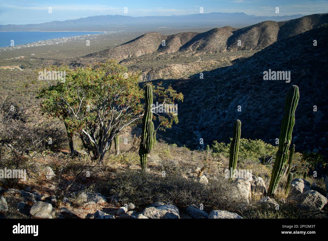 Mexico, Baja California, El Sargento, Ventana Bay, arroyo Stock Photo