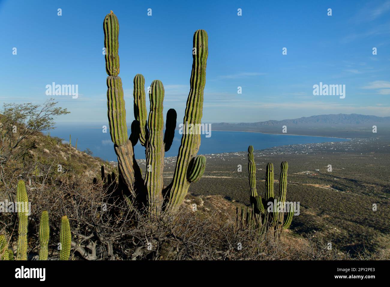 Mexico, Baja California, El Sargento, Ventana Bay Stock Photo