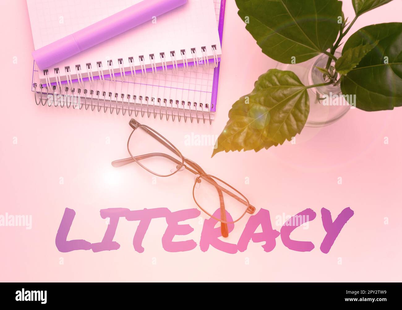 Writing displaying text literacy word for ability to read and write