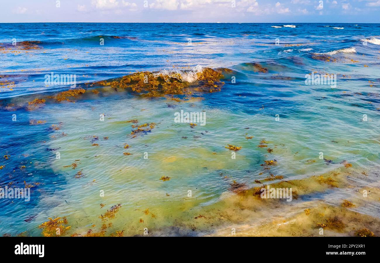The beautiful Caribbean beach totally filthy and dirty the nasty ...