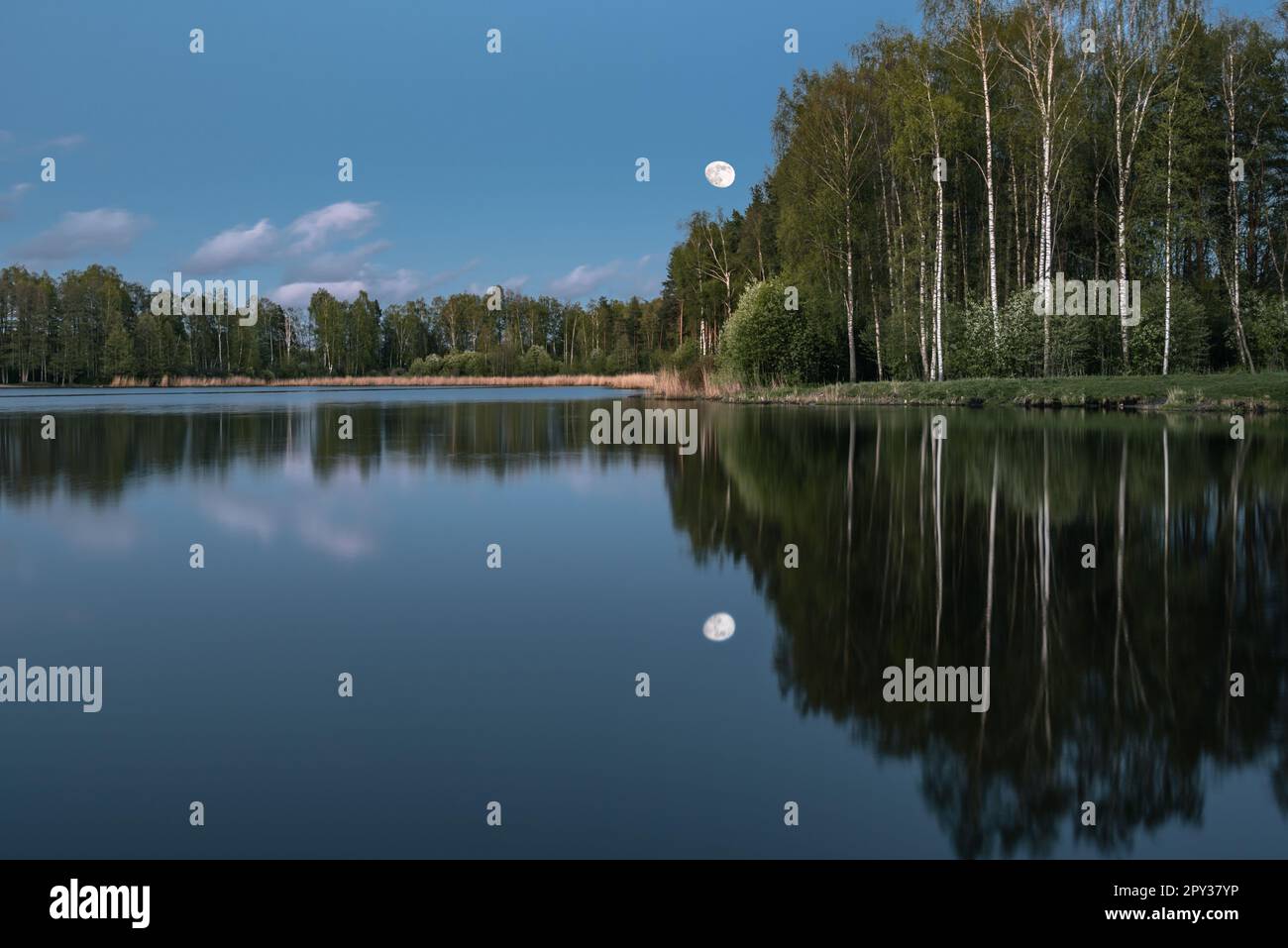 Beautiful spring landscape forest hi-res stock photography and images ...
