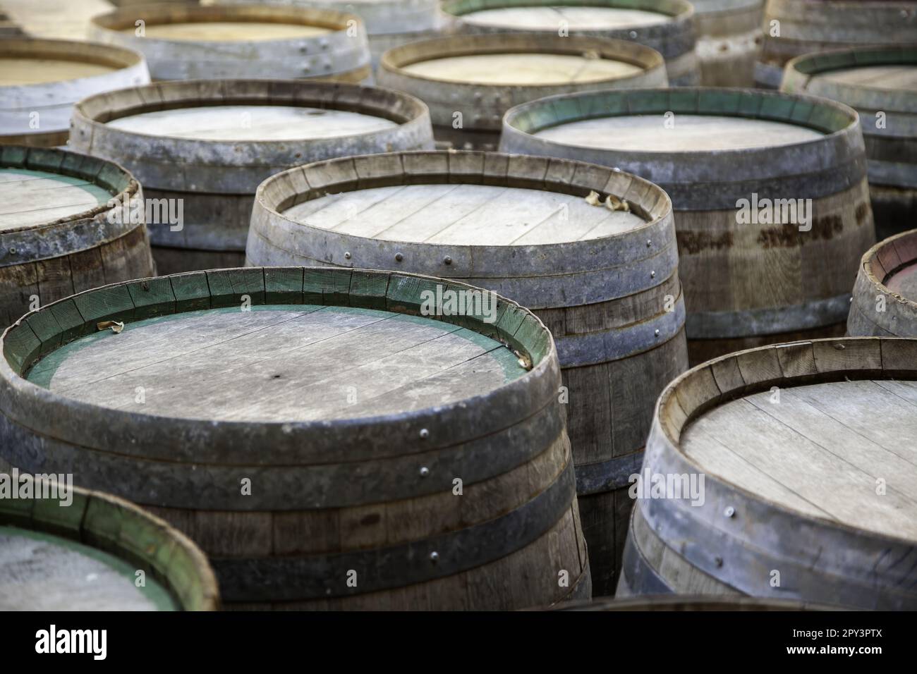 Detail of old oak wooden barrels to store wine Stock Photo Alamy