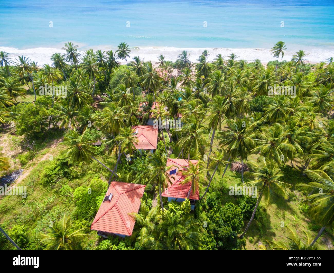 Sea beach with coconut palm trees and hotel houses, Sri Lanka. Aerial view of scenic resort, landscape of seashore in jungle. Travel, vacation, rainfo Stock Photo