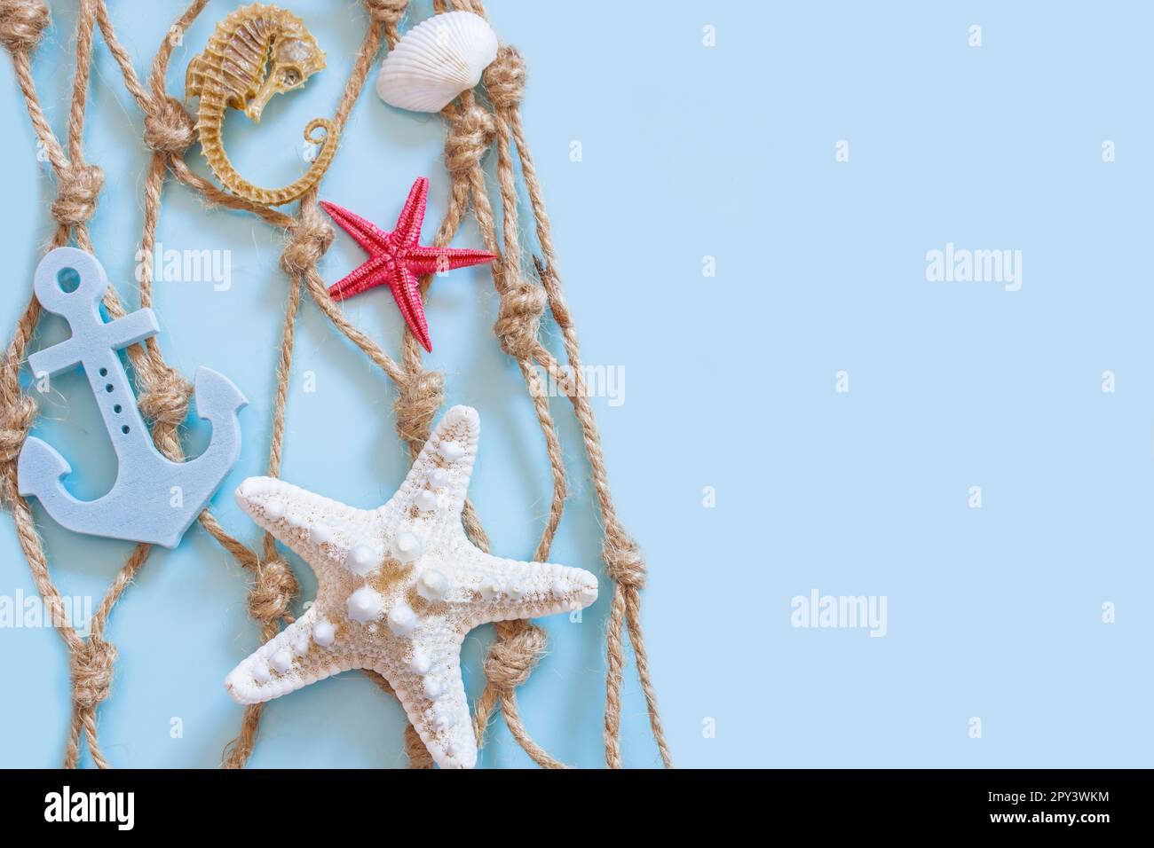 fishing net on the right side of the image, with a white and a red starfish, a seahorse, a blue anchor and shells, on a blue background Stock Photo