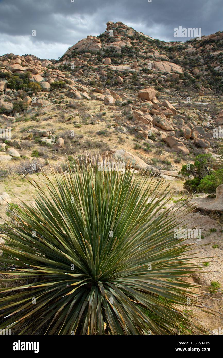 Indian Bead Rocks Indian bread rocks hi-res stock photography and images - Alamy