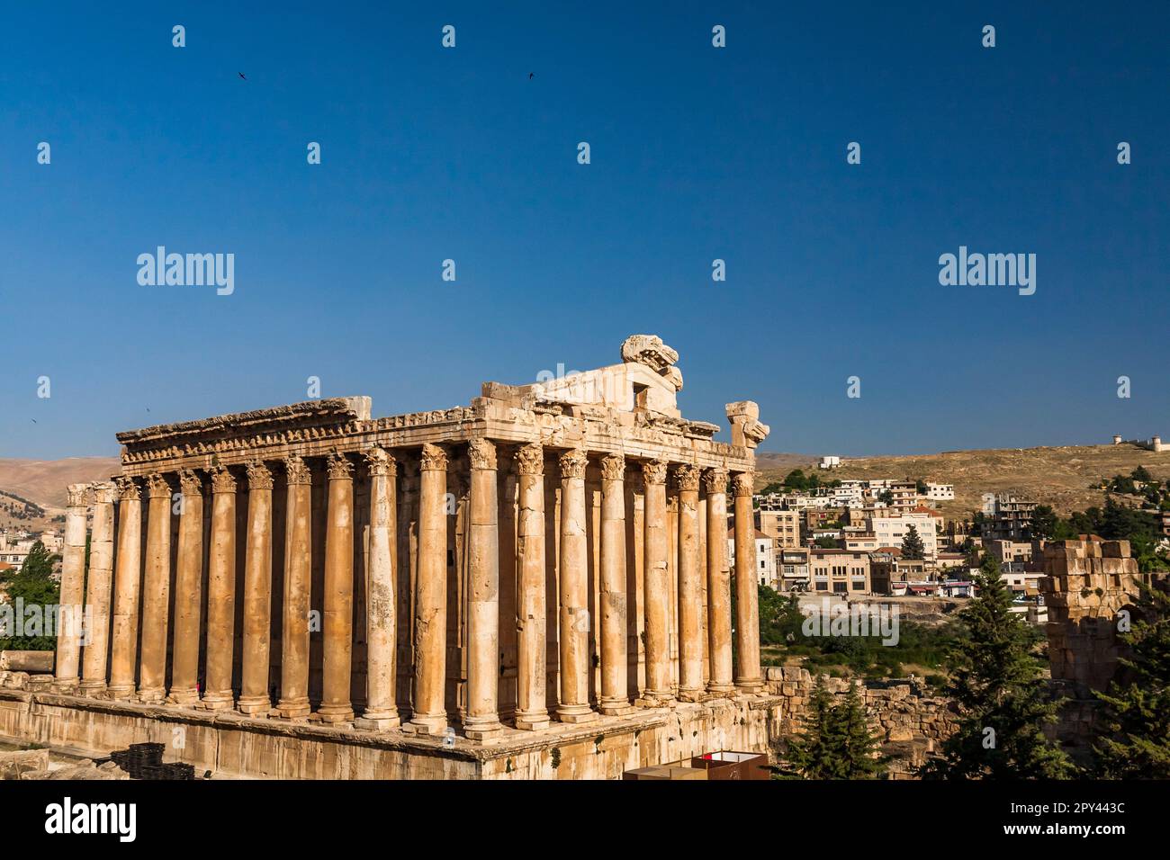 Baalbek, Roman Temple Of Bacchus, Bekaa Valley, Baalbek, Baalbek-Hermel ...