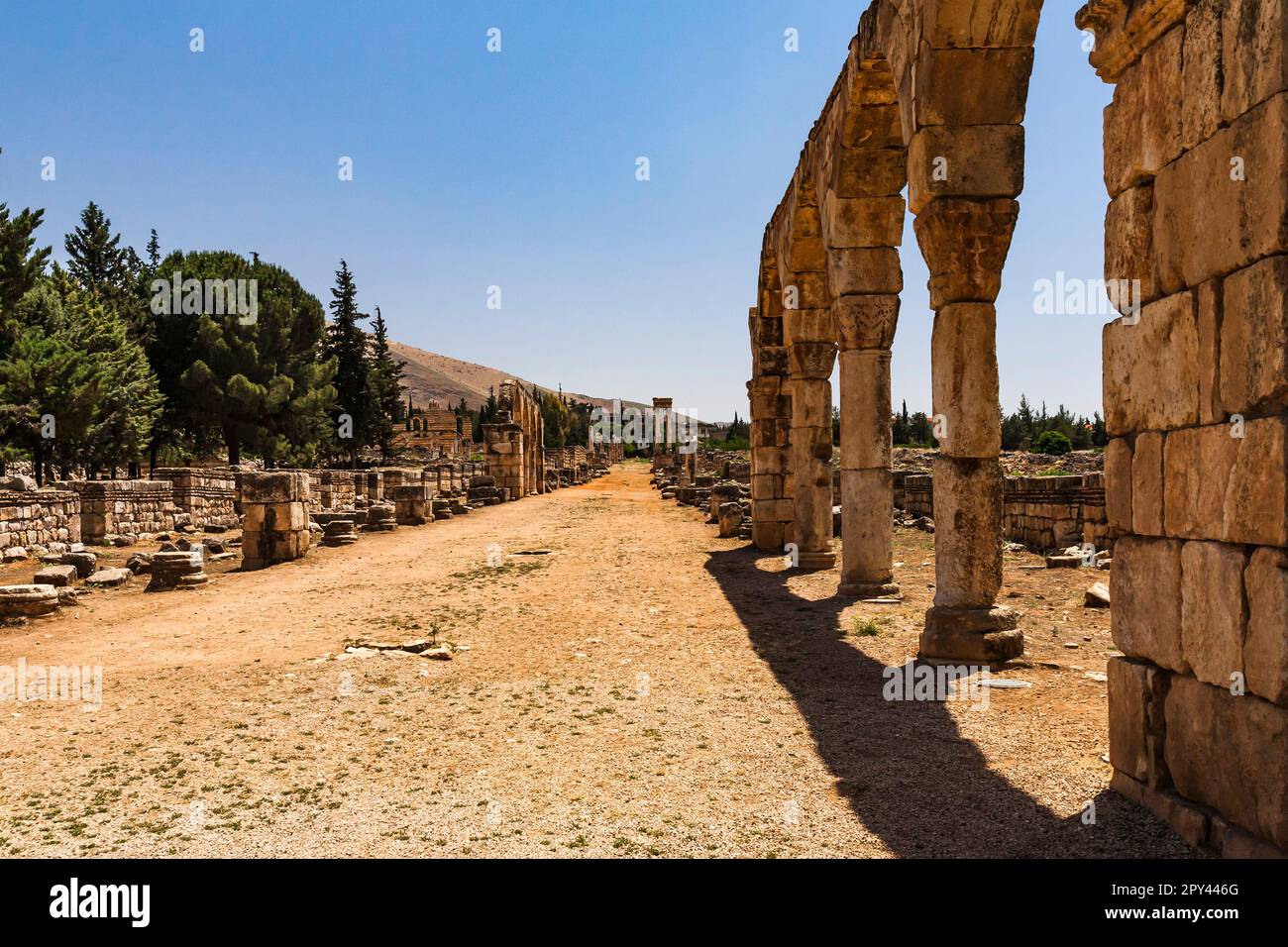 Anjar ruins, ancient Umayyad palace-city, by Caliph Walid I, 8th century, Bekaa valley, Anjar, Beqaa(bekaa) governorate, Lebanon, middle east, Asia Stock Photo