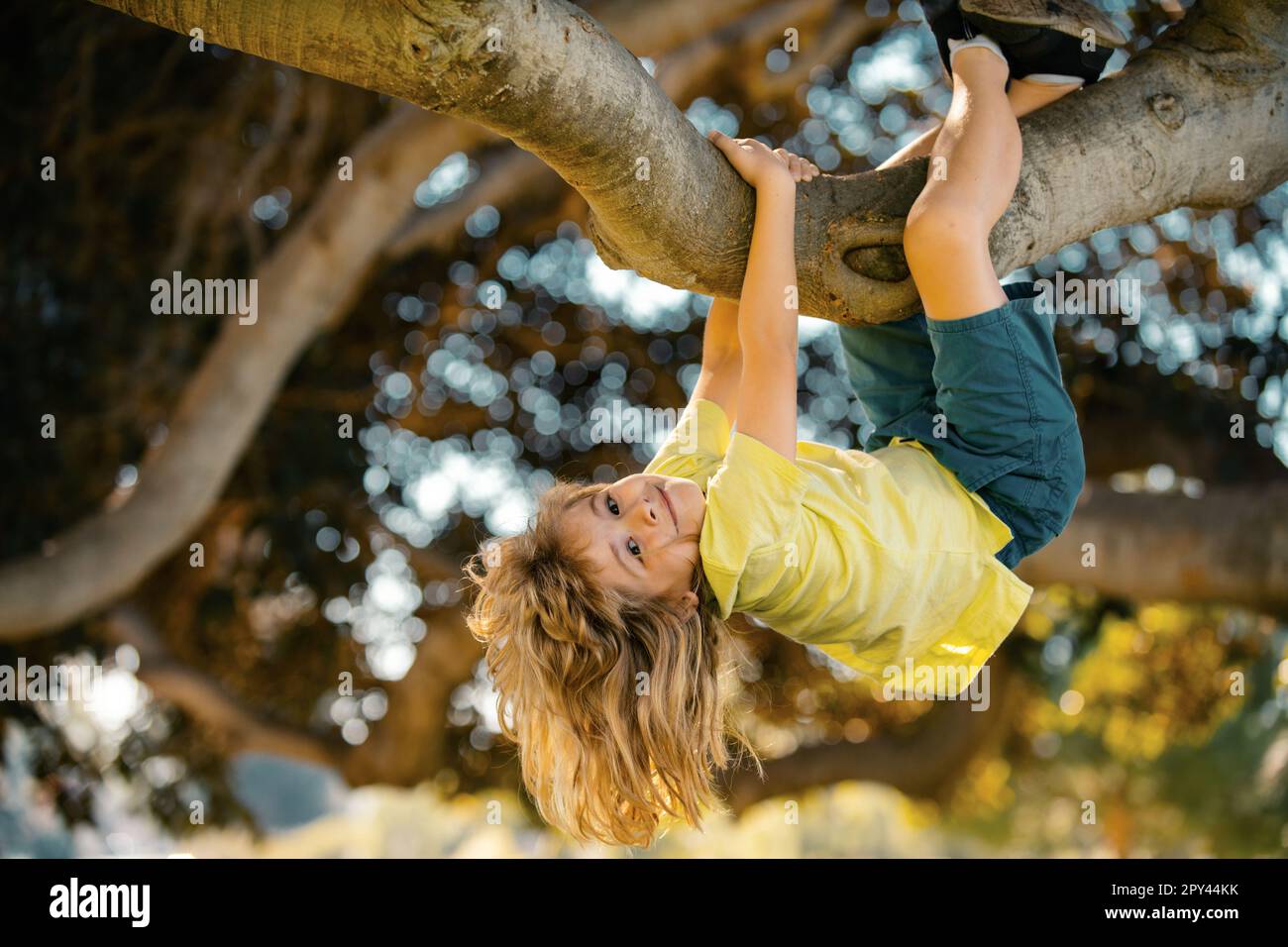 Happy kids climbing up tree and having fun in summer park. Kids climbing trees, hanging upside down on a tree in a park. Child protection. Childhood Stock Photo