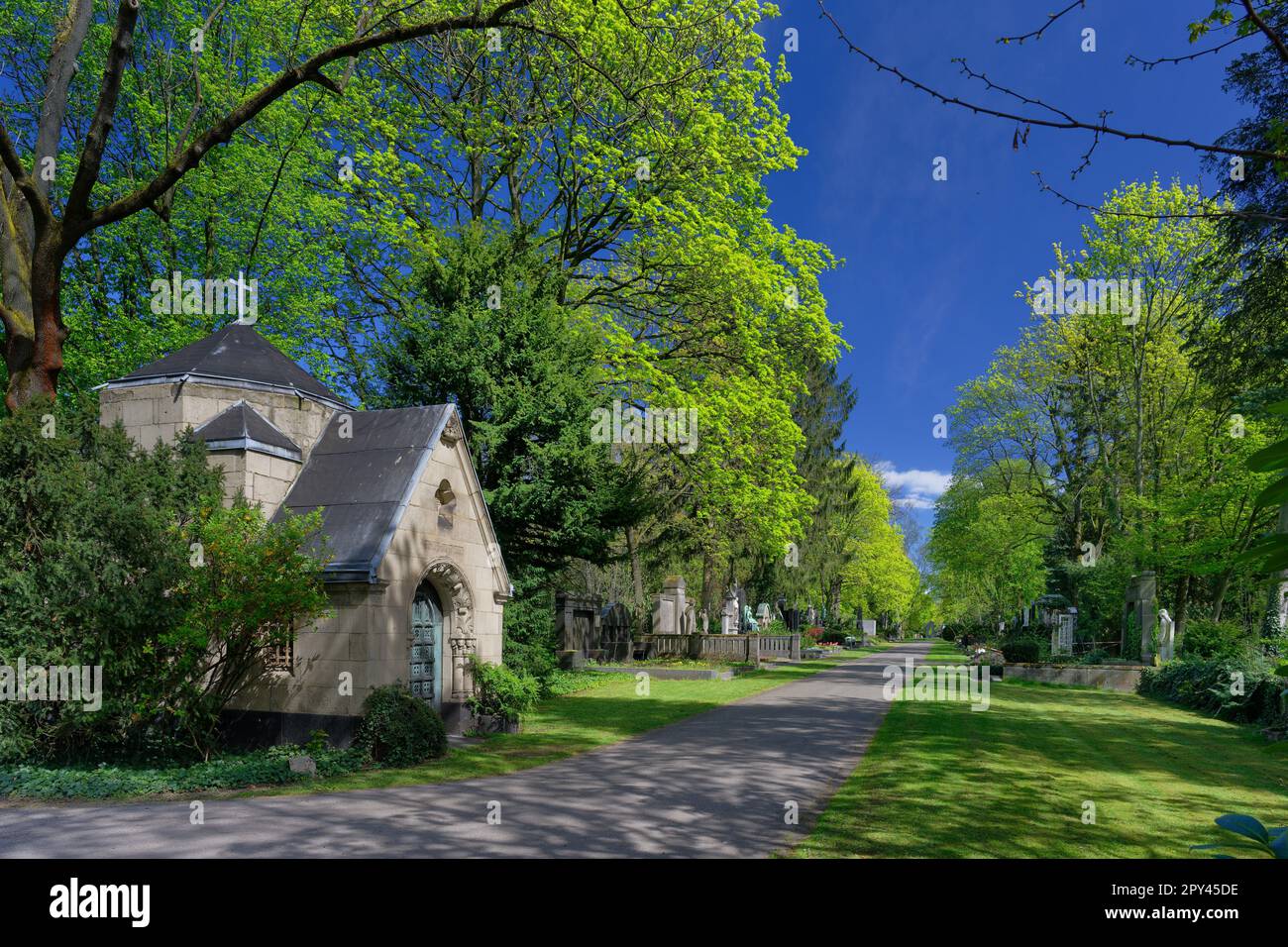 the 'Millionaire's Alley' at the Melaten Cemetery in Cologne in springtime Stock Photo