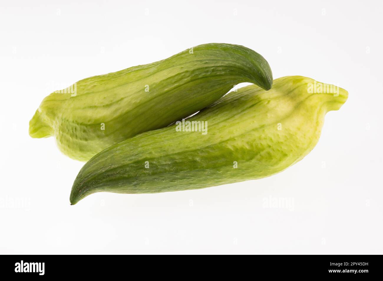 Caigua edible organic vegetable - Cyclanthera pedata Stock Photo