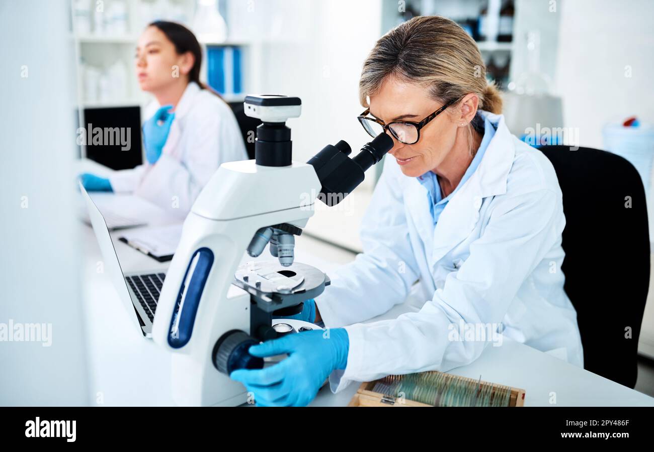 Running diagnostics on clinical data. a mature scientist using a microscope in a lab with her colleague in the background. Stock Photo