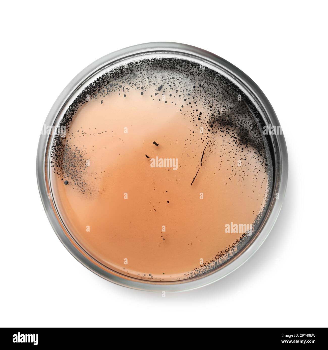 Petri dish with bacteria colony isolated on white, top view Stock Photo ...
