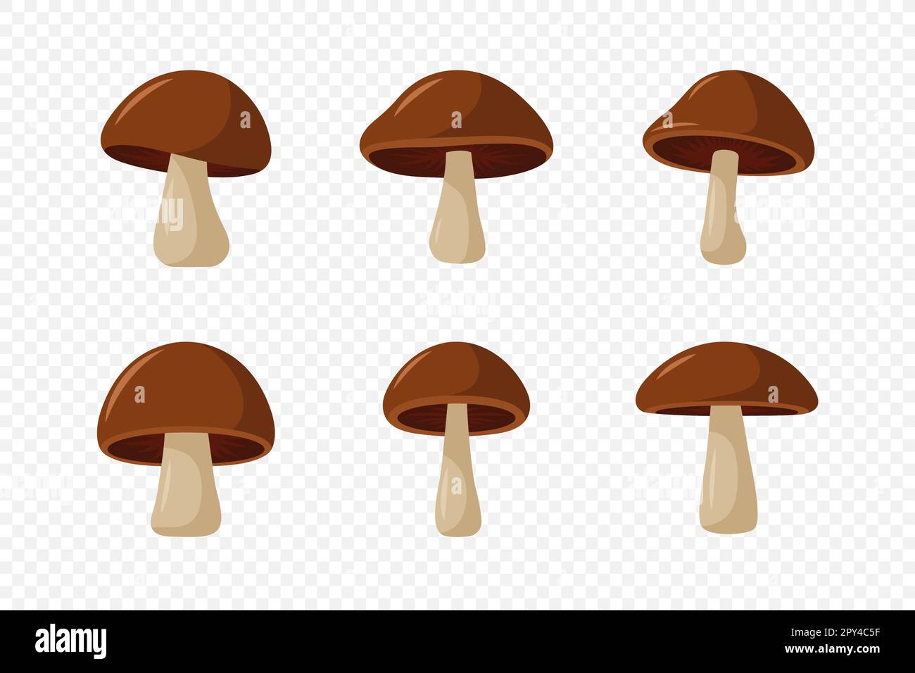 Vector Hand Drawn Cartoon Flat Mushroom Icon Set. Brown Edible Boletus