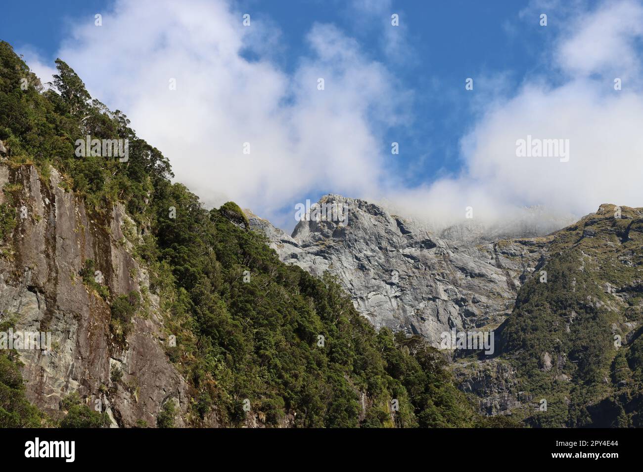 Milford Sound, New Zealand Stock Photo