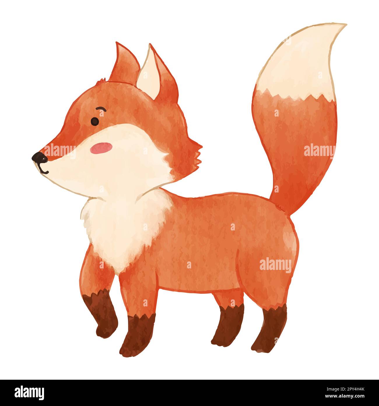 Fox is standing and walking . Watercolor paint design . Cute animal cartoon character . Vector