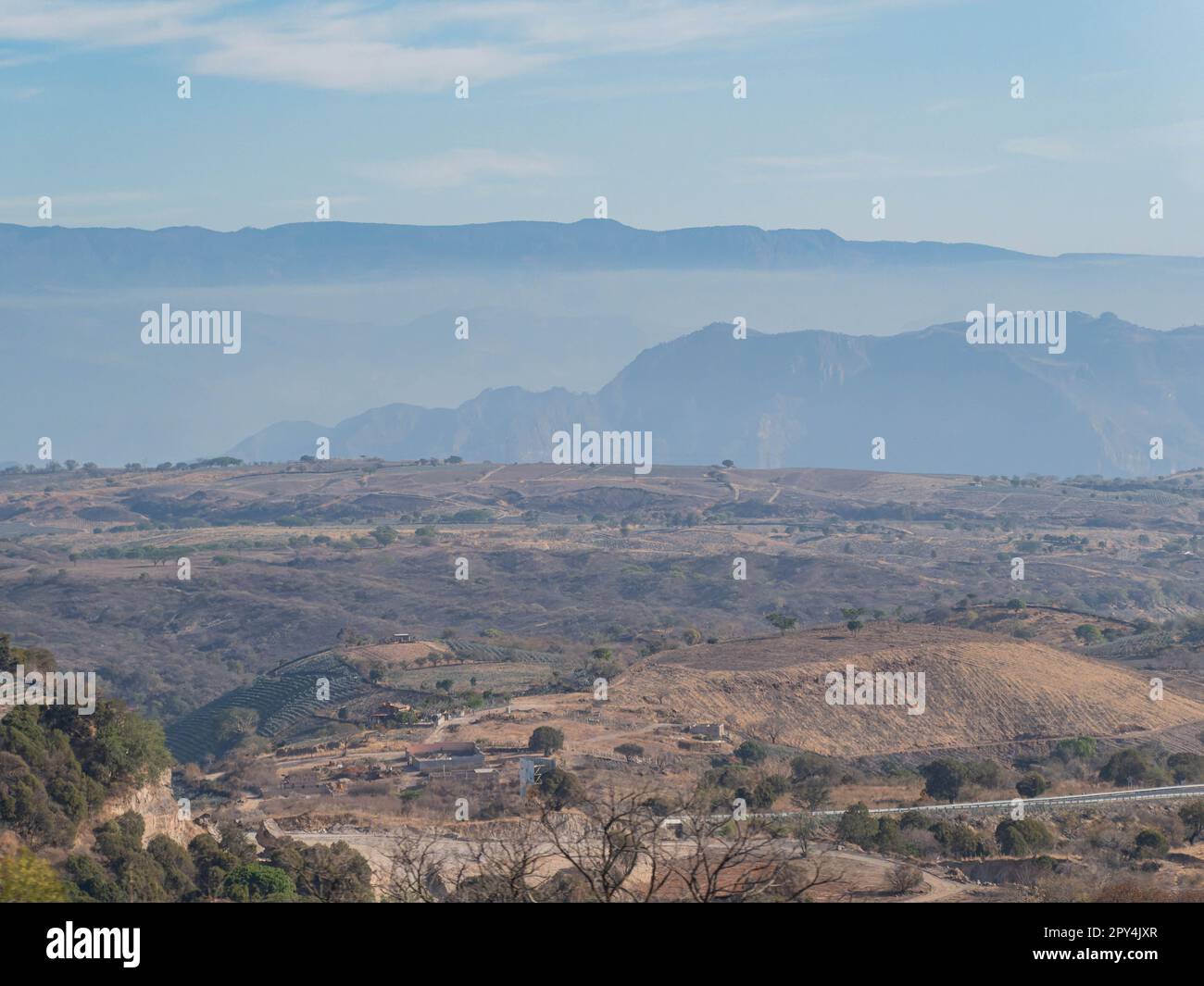 Sunny view of the Tequila farm at Jalisco, Mexico Stock Photo Alamy