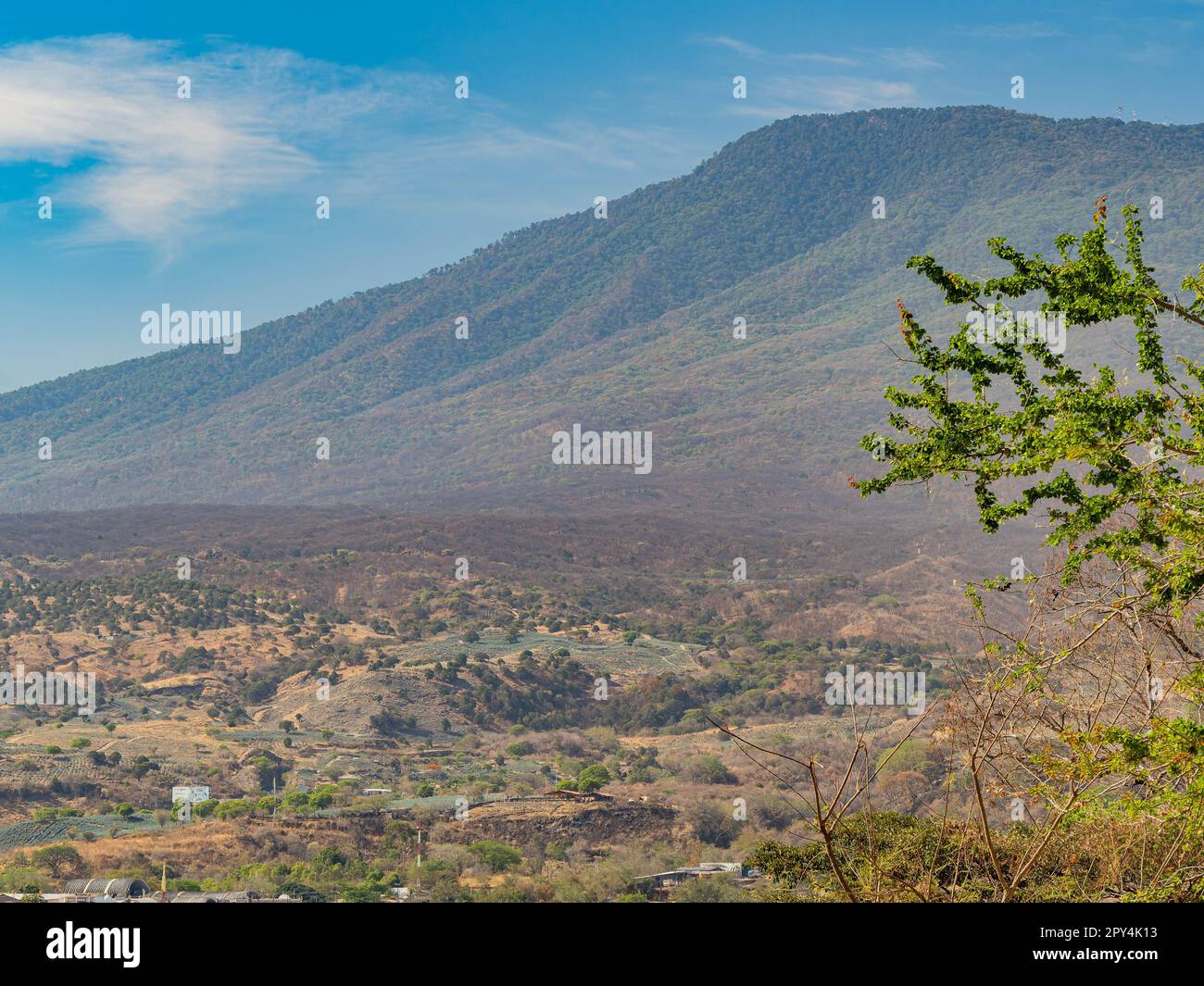 Sunny view of the Tequila farm at Jalisco, Mexico Stock Photo Alamy