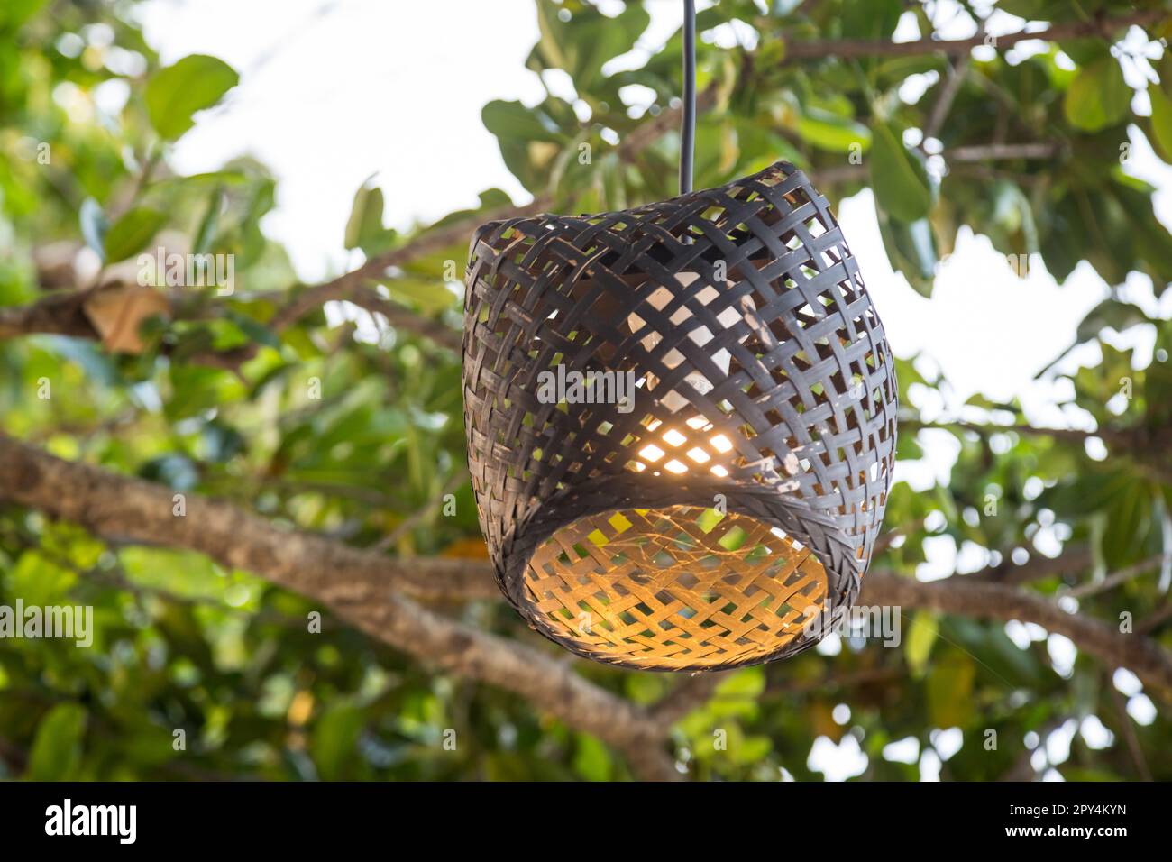 Paper lantern hanging on trees hi-res stock photography and images - Alamy