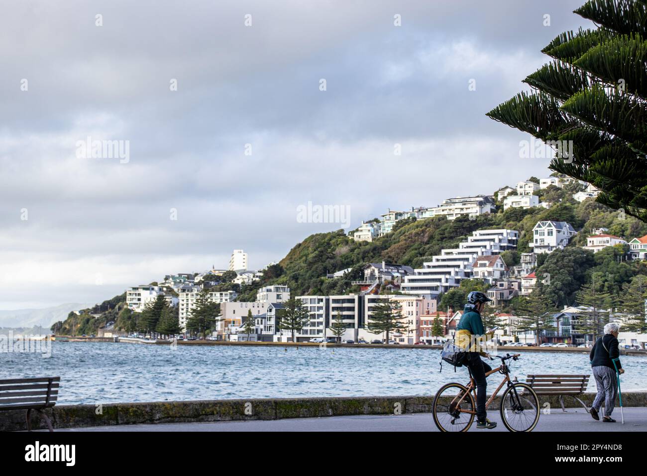 Wellington, New Zealand - April 20, 2023: A pedestrian and a cyclist making their way along Oriental Parade in Oriental Bay, part of Wellington's Grea Stock Photo
