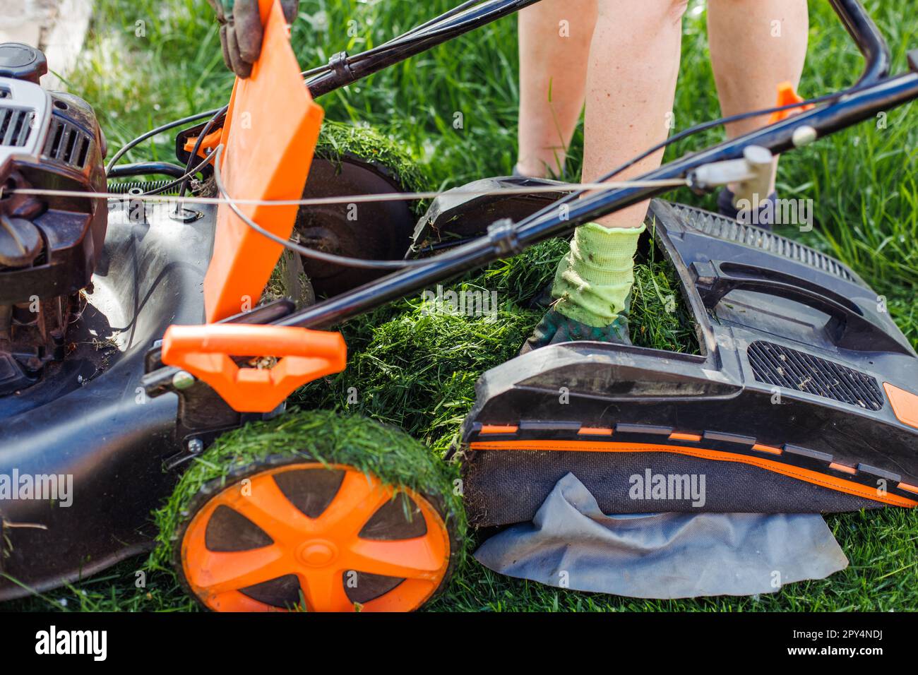 Cropped gardener raking fresh green grass out lawn mower or grass