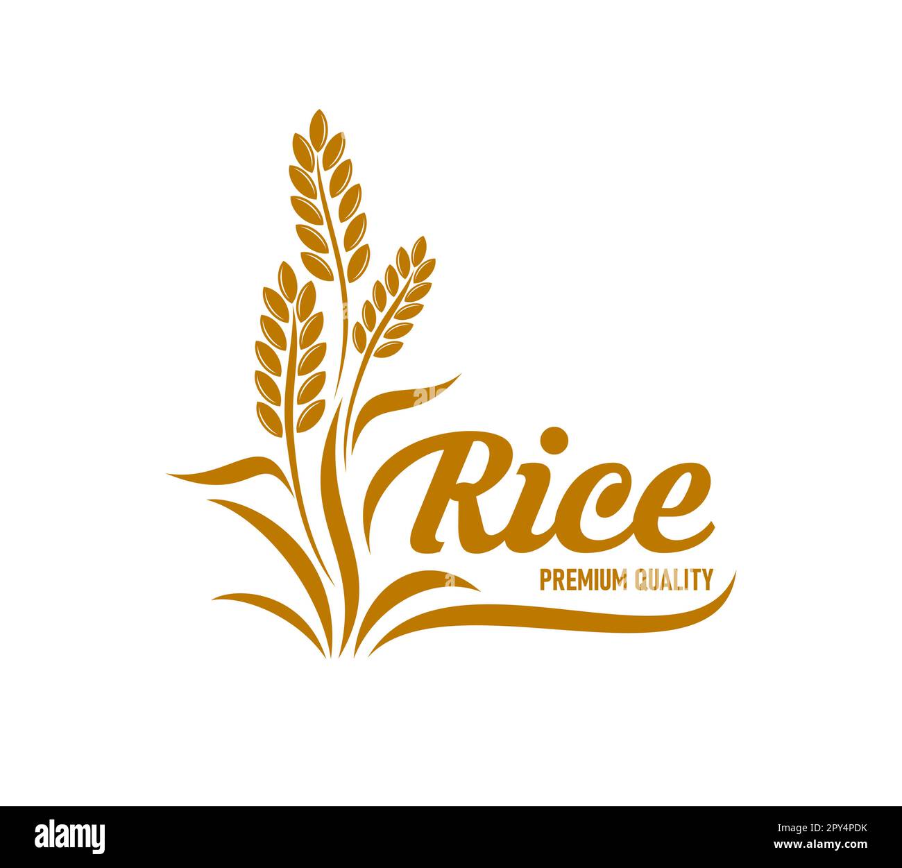 Rice icon with cereal plant and grains, vector food and agriculture