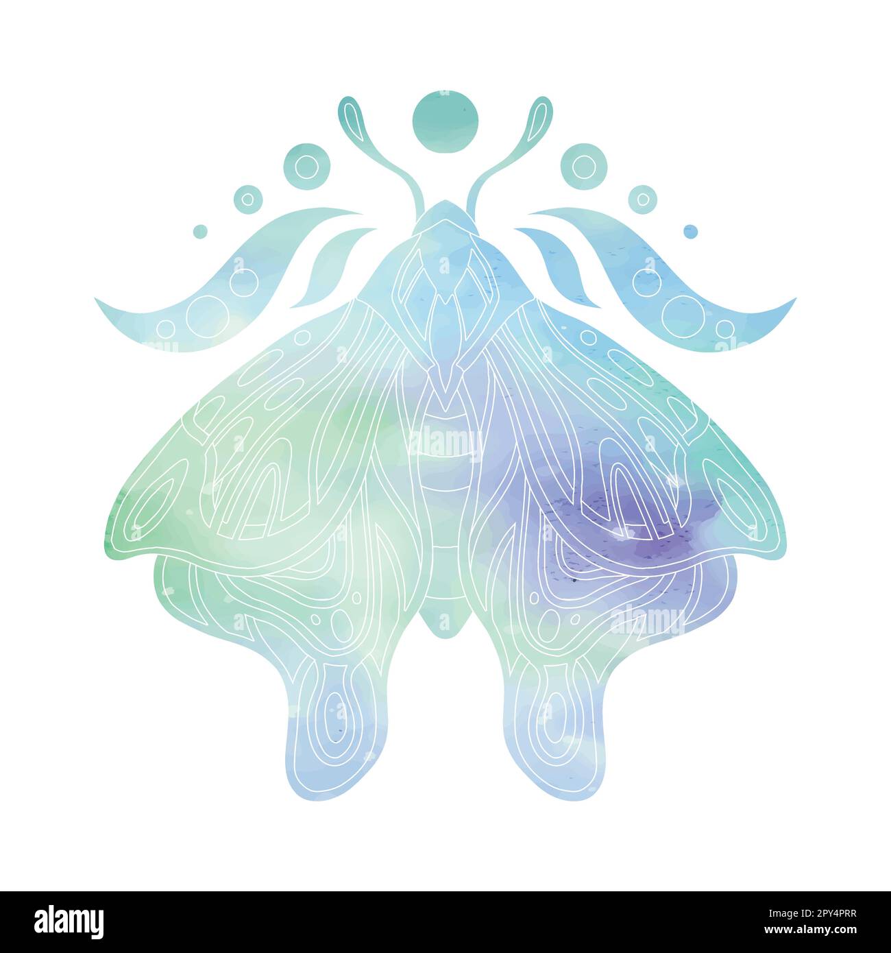 Vector contour illustration of a moth with blue watercolor background. Sacred colorful clipart of a winged insect with the moon. Line art paint Stock Vector