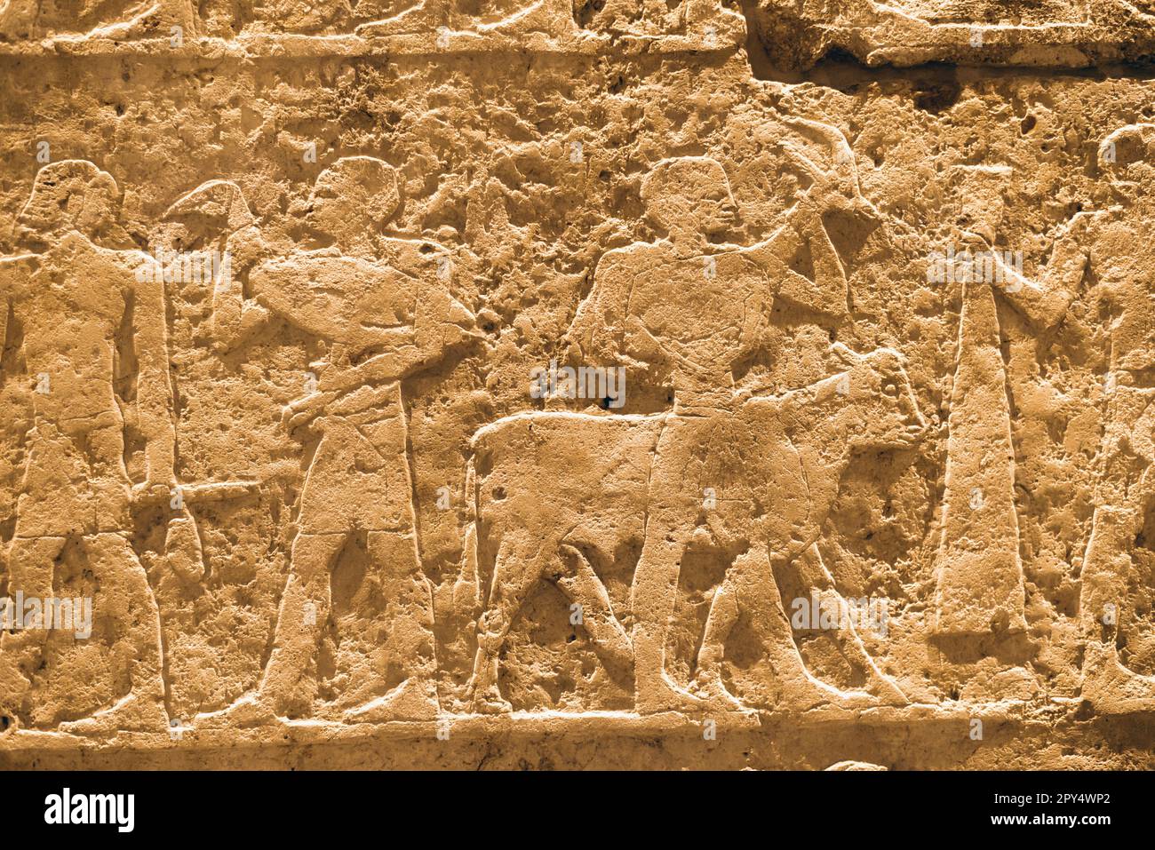 wall background of Ancient Egypt stone carving with human and animals