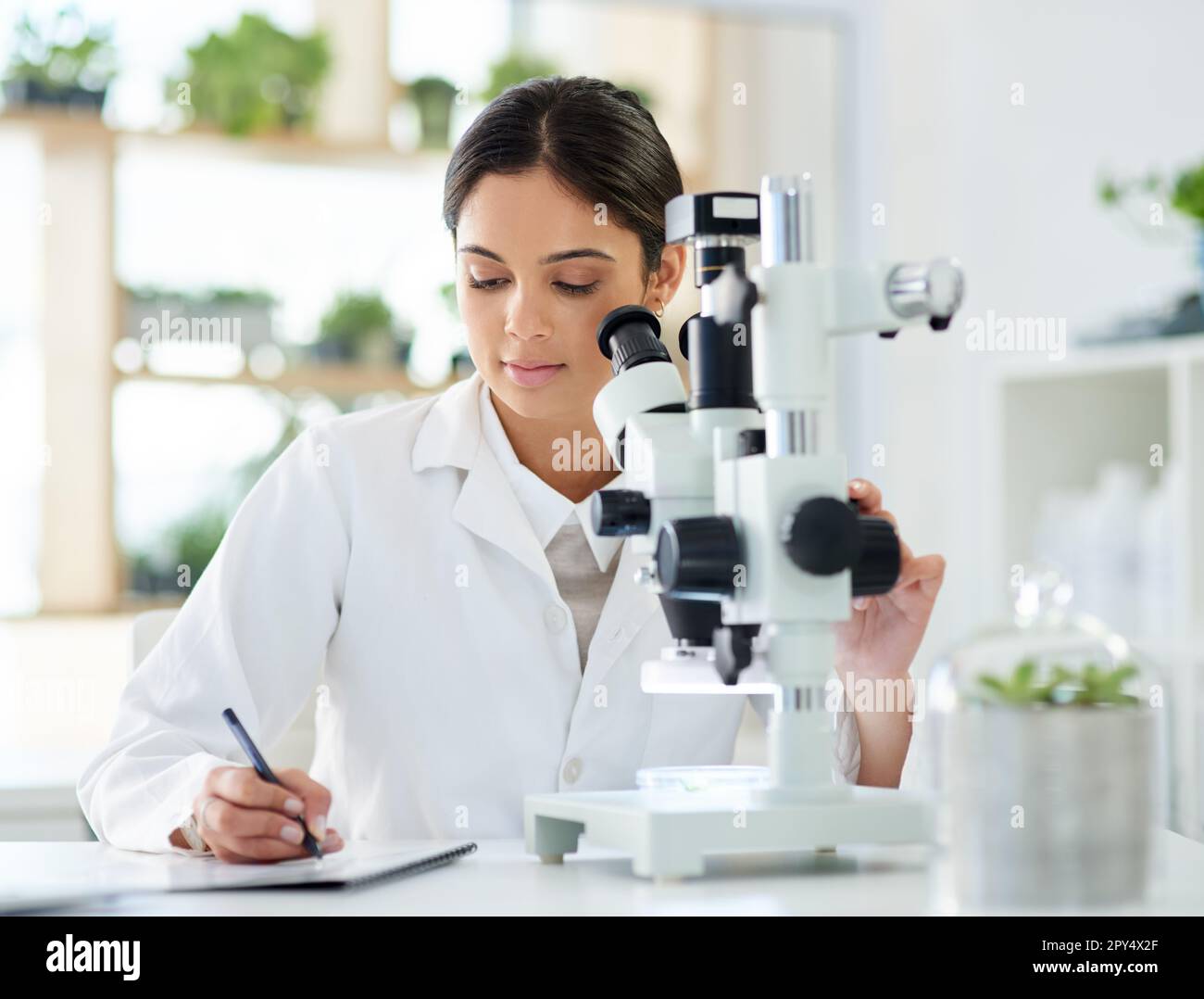 Noting down a new breakthrough. a young scientist writing notes while using a microscope in a lab. Stock Photo