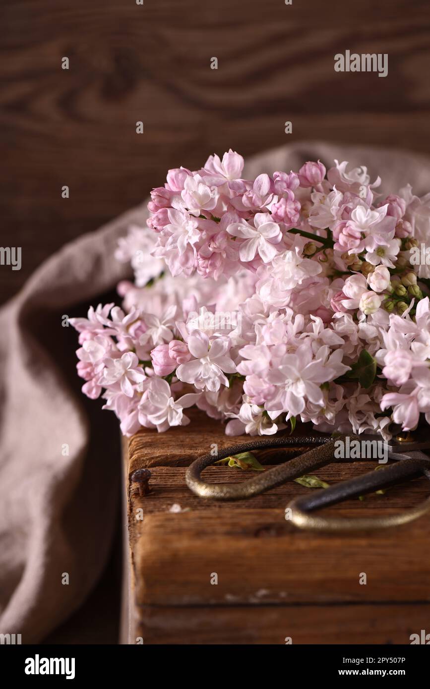 still life with a bouquet of lilacs for decoration Stock Photo - Alamy