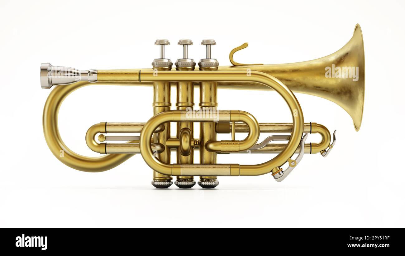 musical instrument isolated on white background. 3D illustration