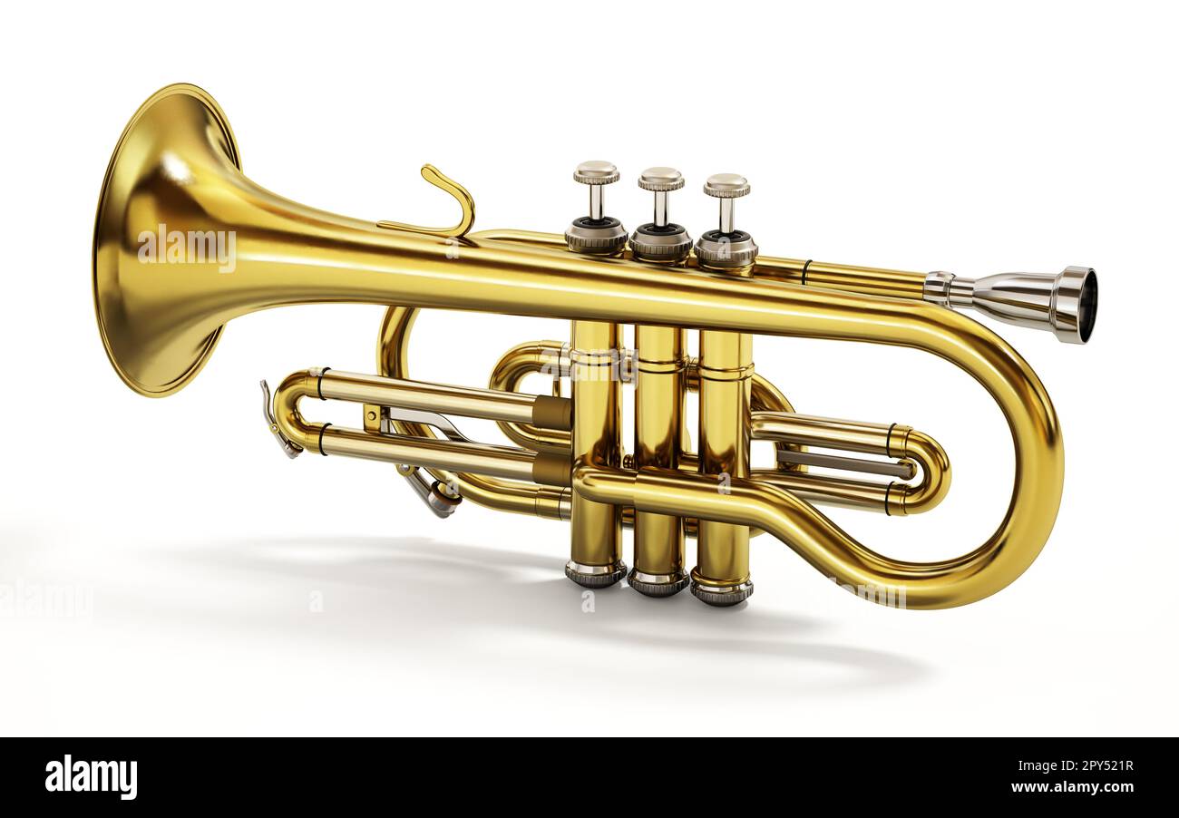 musical instrument isolated on white background. 3D illustration