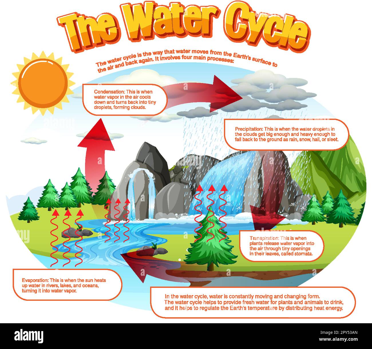 The water cycle diagram for science education illustration Stock Vector