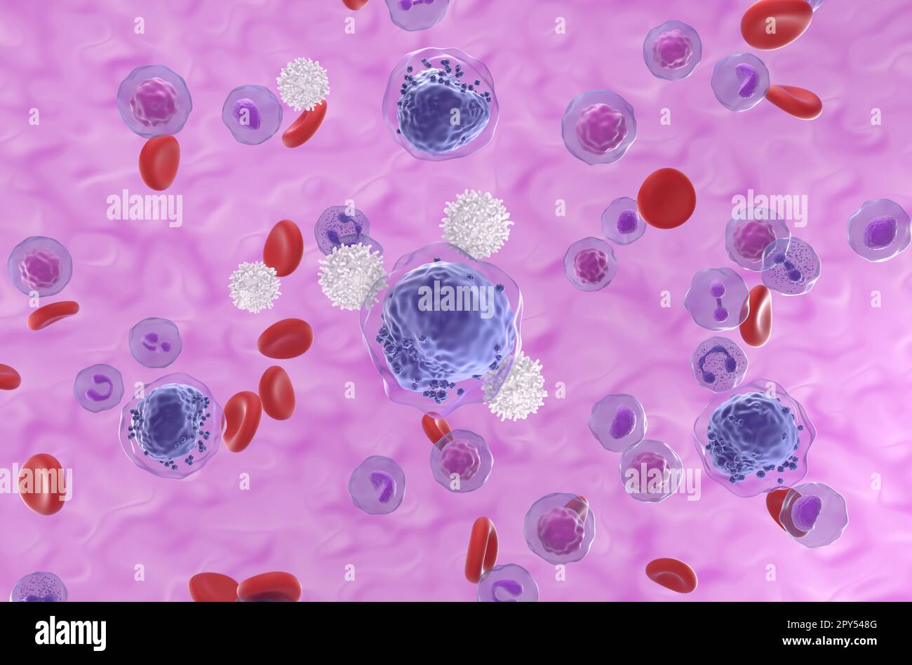 T-cells attack acute myeloid leukemia (AML) cells in blood flow - isometric view 3d illustration Stock Photo