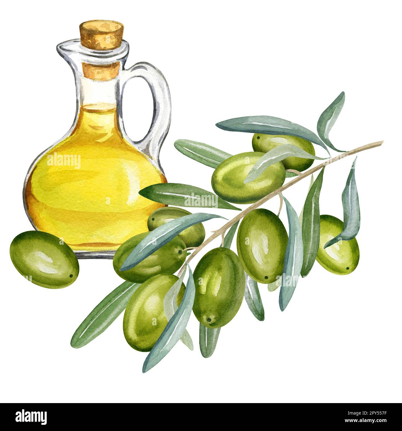 watercolor olive oil in glass bottle with branch of green olives with ...
