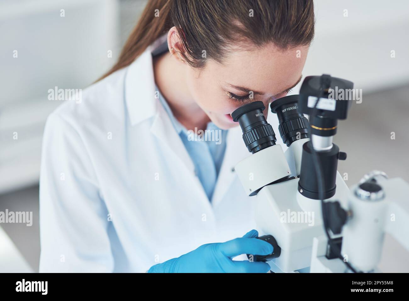 Focused young life science hi-res stock photography and images - Alamy