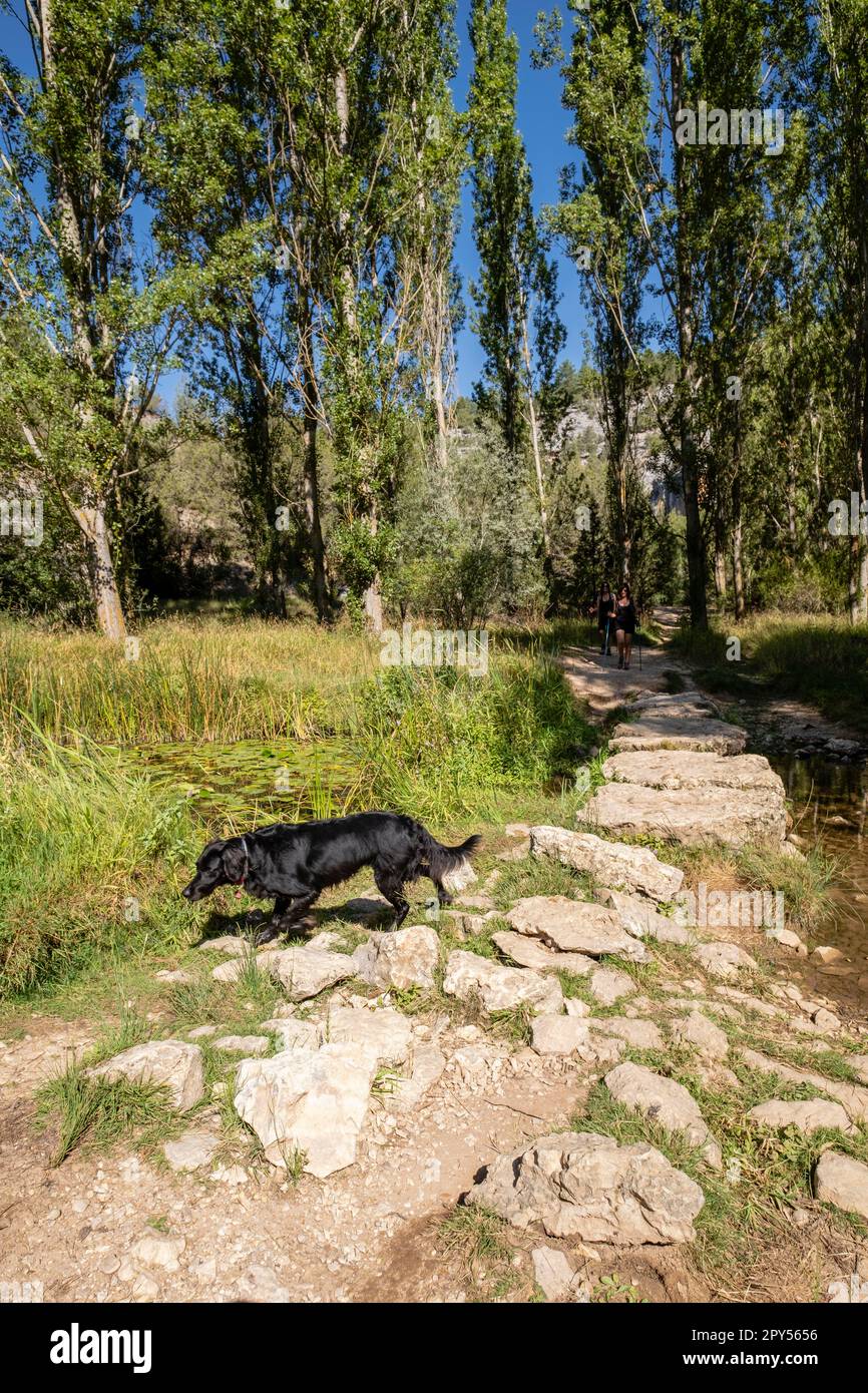 Parque Natural del Cañón del Río Lobos, Soria, Comunidad Autónoma de Castilla, Spain, Europe Stock Photo