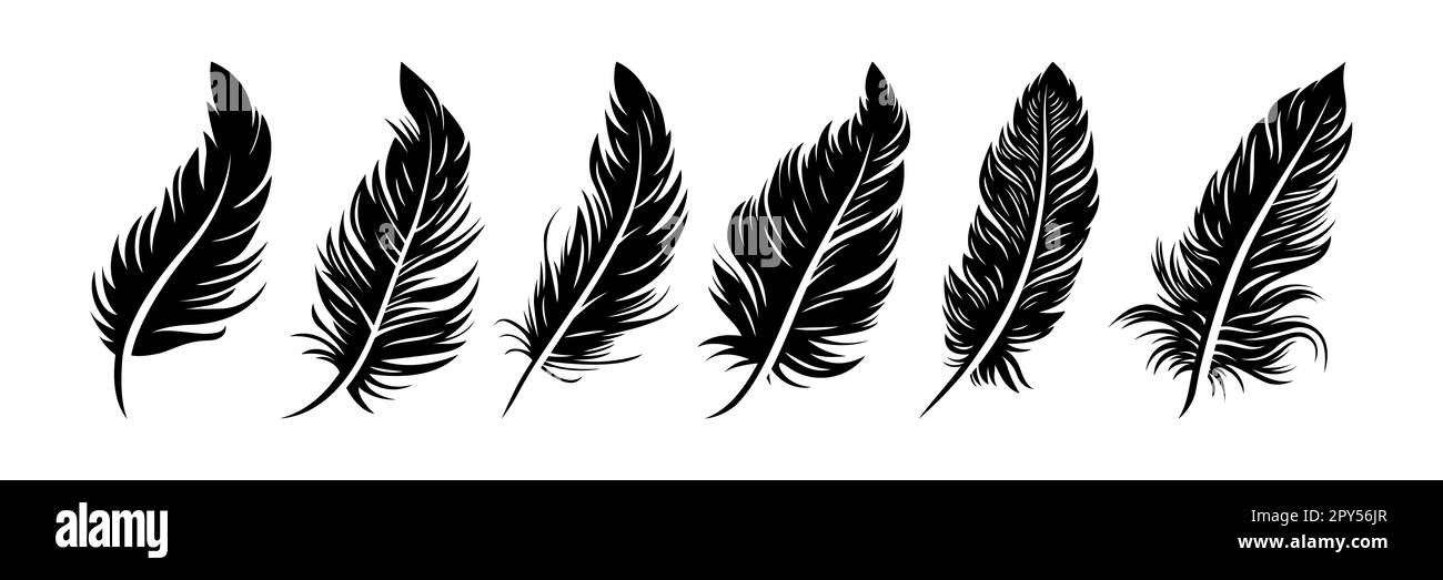 White Feathers Realistic Set Falling Fluffy Twirled Bird Plume In Different  Angle 3d Flying Angel Or Swan Quill Symbol Of Lightness And Softness Vector  Isolated Collection Stock Illustration - Download Image Now 