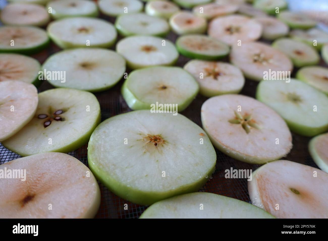 apple drying process,closeup sliced apple slices left to dry Stock