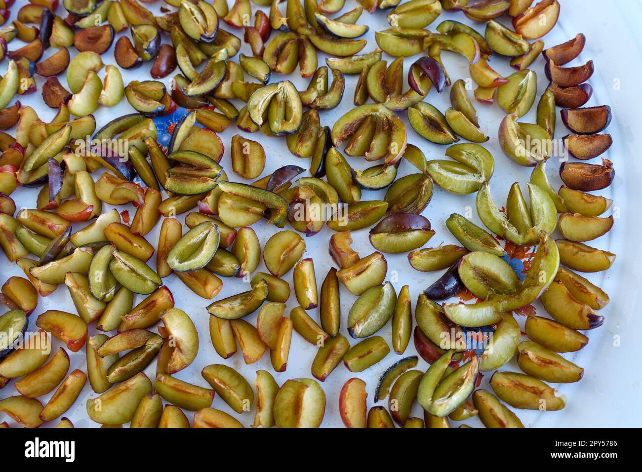 drying plums, homemade natural plum drying process Stock Photo Alamy