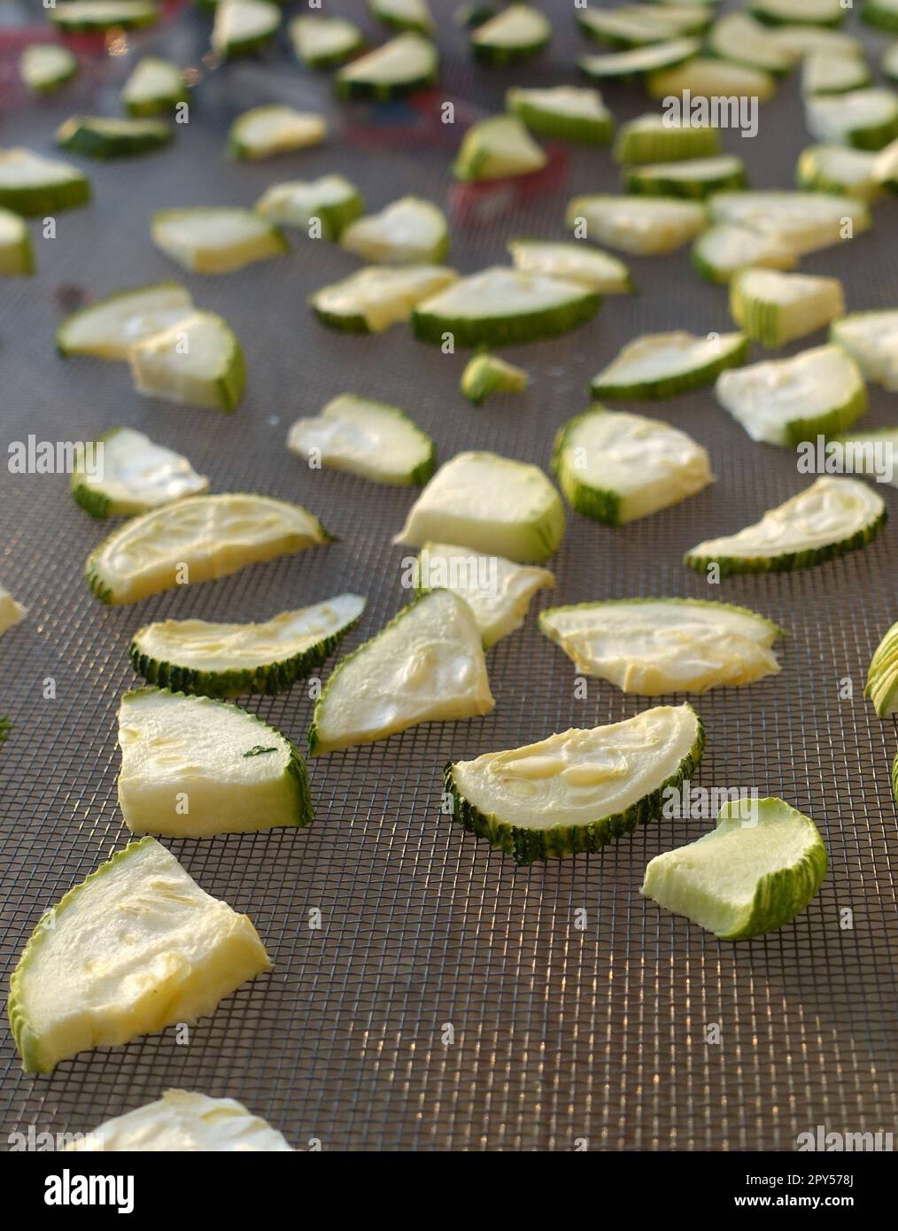 drying zucchini, drying vegetables in the sun, dried zucchini, drying sliced zucchini Stock Photo