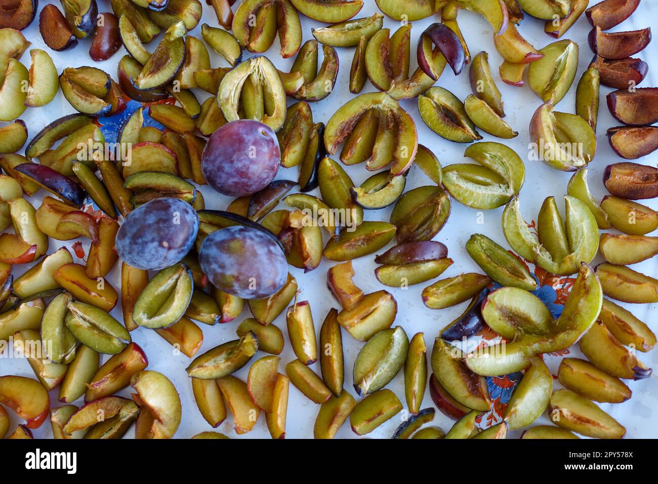 Conservation process hires stock photography and images Alamy