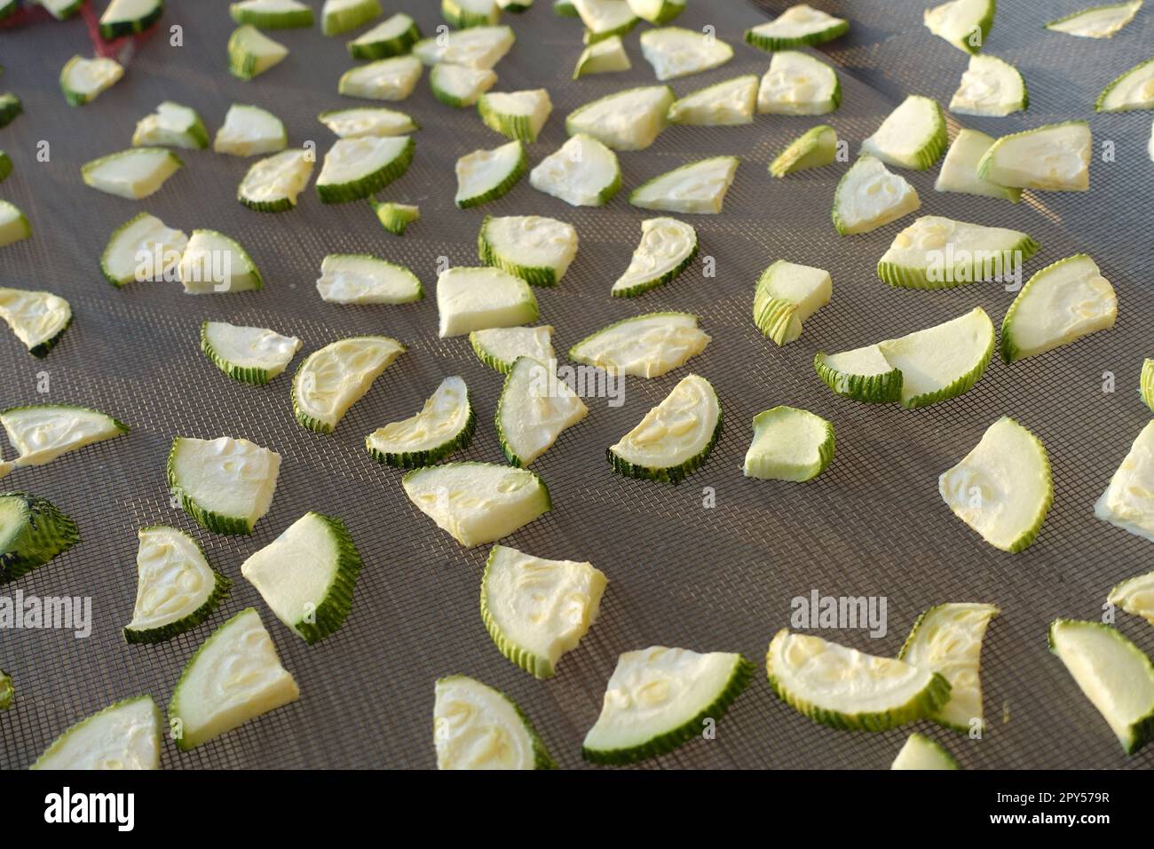 drying zucchini, drying vegetables in the sun, dried zucchini, drying sliced zucchini Stock Photo